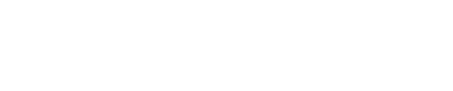 Meta, a supported ad network