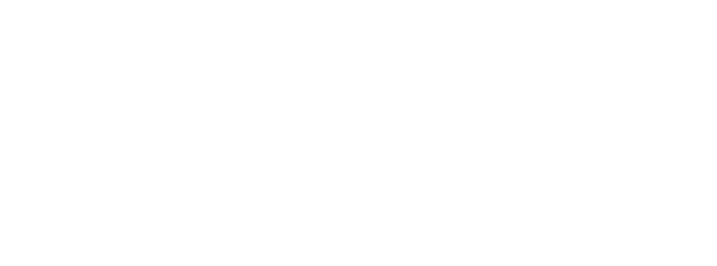 Playdew Studios
